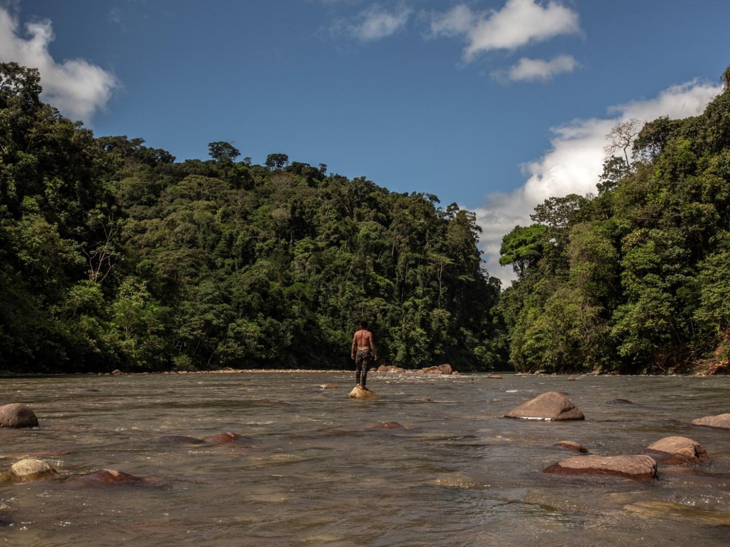 ESCENARIOS. Estudio advierte que el territorio del pueblo indígena kakataibo en Perú es una zona de muy alta presión por parte de invasores.