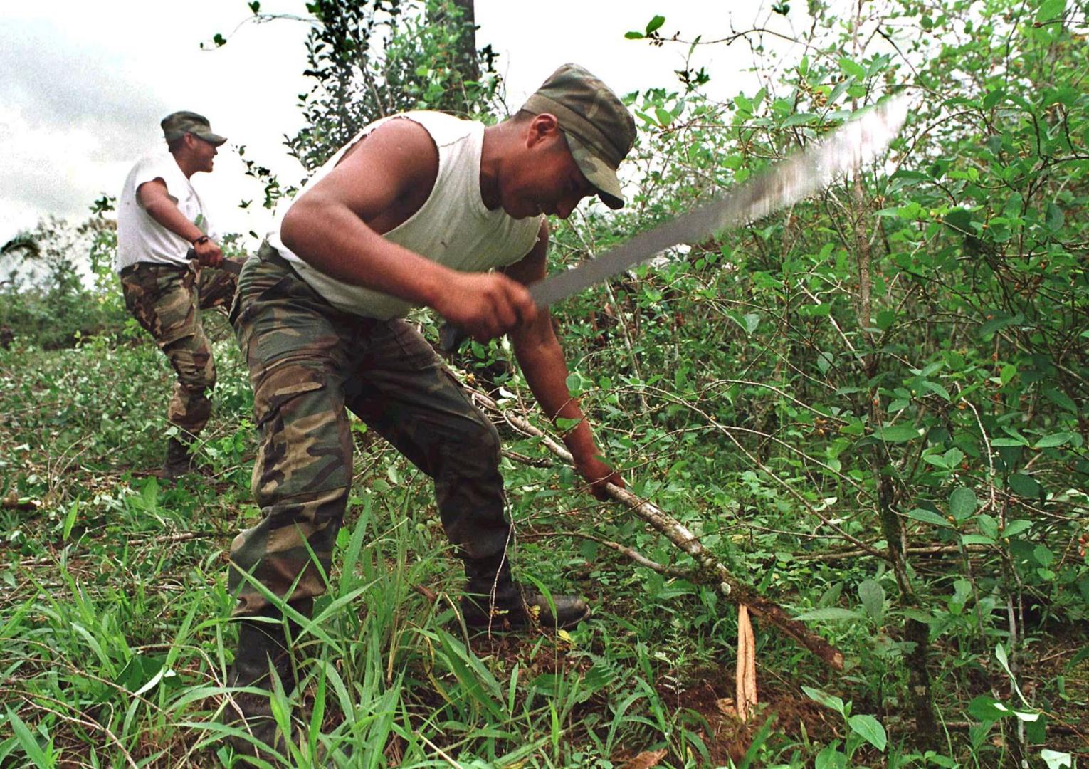 AMAZONÍA. Según el informe de Devida, el mayor incremento de cultivos de hoja de coca se registró en las fronteras con Colombia y Brasil.