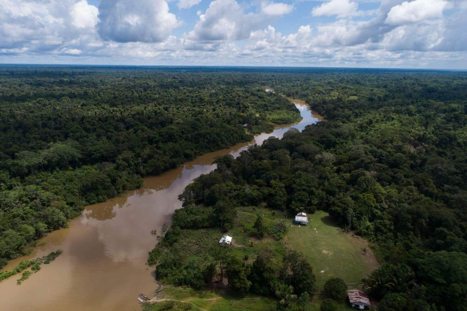 MATERIA PRIMA. Antes de llegar hasta un centro de transformación primaria, la madera puede recorrer cientos de kilómetros por río o carretera. 