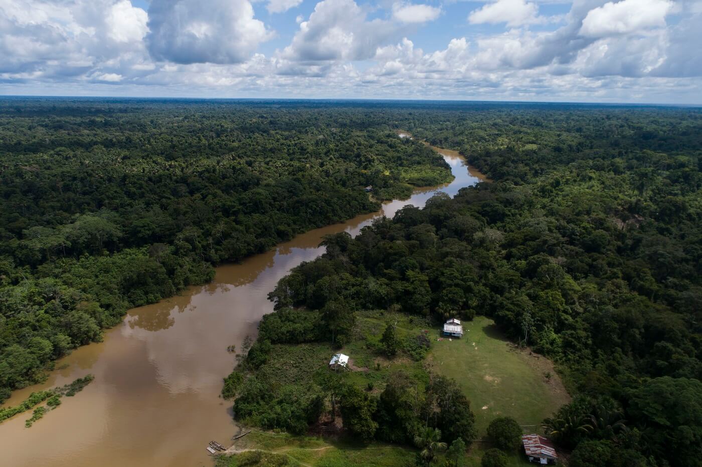 PROPUESTA. Luego de que se archive en el Congreso una propuesta que cambiaba la ley forestal, ahora desde el Ejecutivo se ha impulsado una serie de cambios a esta norma.