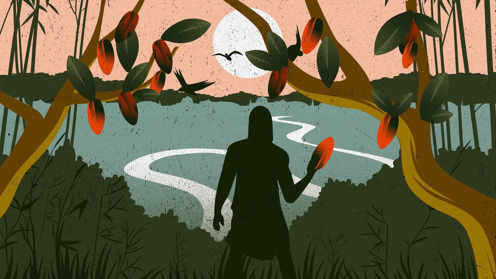 HALLAZGOS. Una investigación señala que los orígenes de la domesticación del cacao no fue en América Central, sino en países andinoamazónicos como Ecuador, Perú y Colombia.