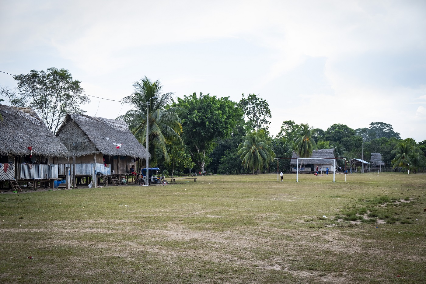POSTURA. El grupo Ocho Sur, uno de los principales productores de aceite de palma del país, asegura que en sus territorios ni los de sus proveedores se ha perdido bosque.