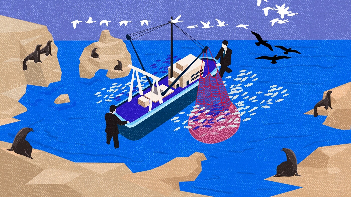 OBJETIVO. Con una acción popular, la Sociedad Nacional de Pesquería pretende anular el artículo de una normativa que prohíbe la pesca en gran escala en áreas naturales protegidas.