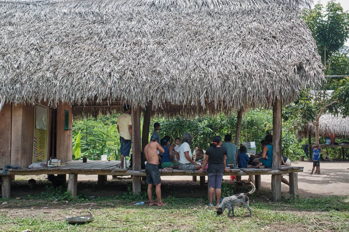 EN PELIGRO. Alto Esperanza del río Inuya, comunidad indígena en contacto inicial, busca titular su territorio ancestral, pero enfrenta a invasores y actividades ilícitas.