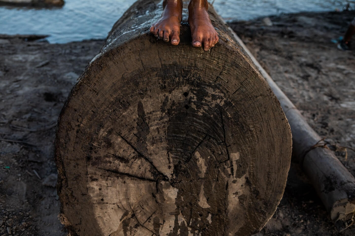 WORK. OjoPúblico team identifies that 55% of the timber traded by forest concessionaires in the Peruvian Amazon have high and very high risk indicators of being illegal.