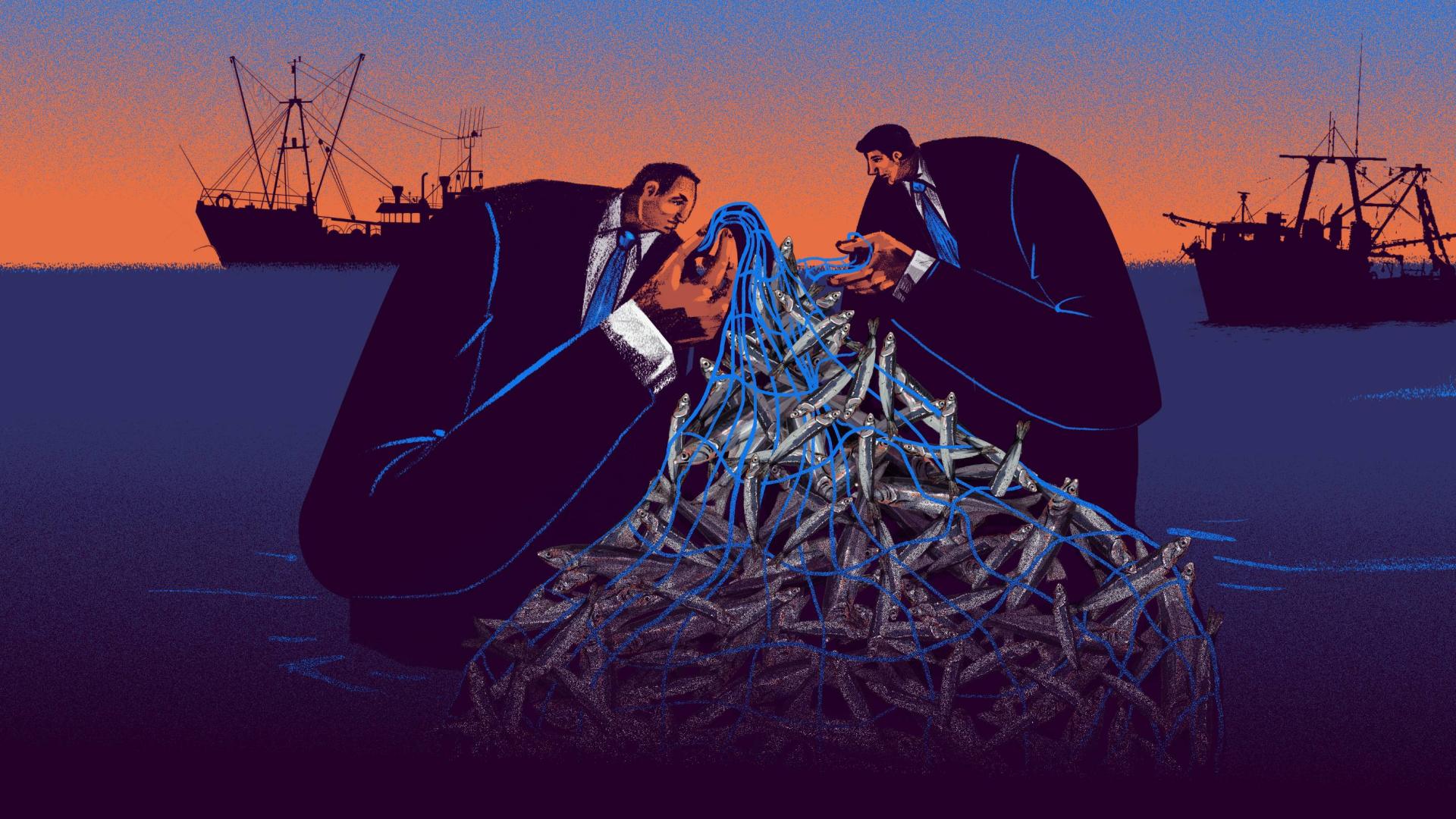 LEGALIZADA. En Perú, desde hace casi ocho años, en la práctica, se ha legalizado la pesca de anchovetas juveniles. La norma que así lo permite no fue recomendada por el Imarpe. 