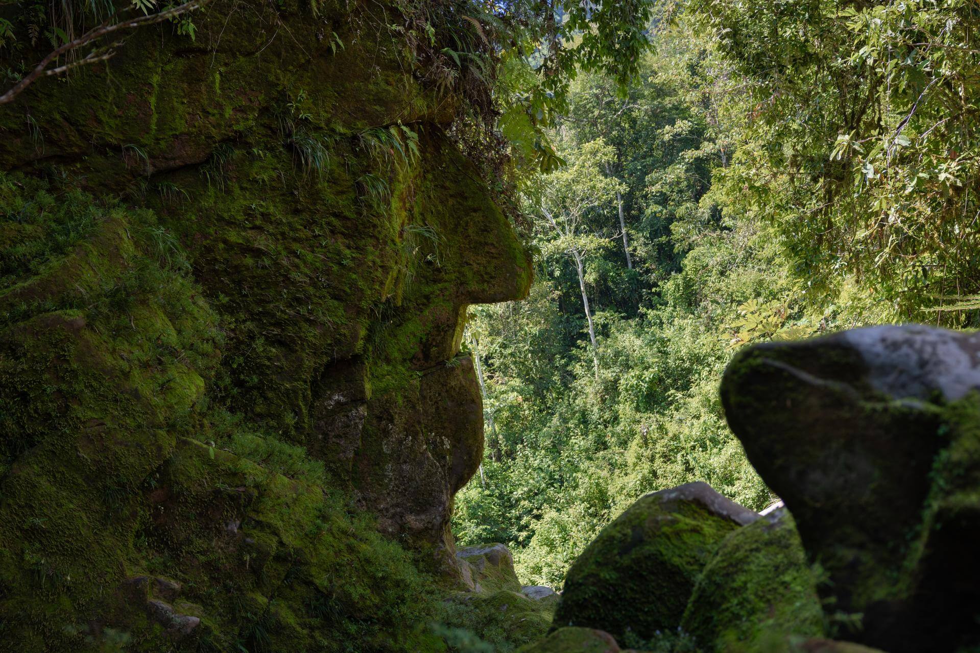 PERFIL DE PIEDRA. El Rostro Harakbut, escondido en la Reserva Comunal Amarakaeri, en la Amazonía sur del país, soporta las presiones de las crecientes economías ilegales. 