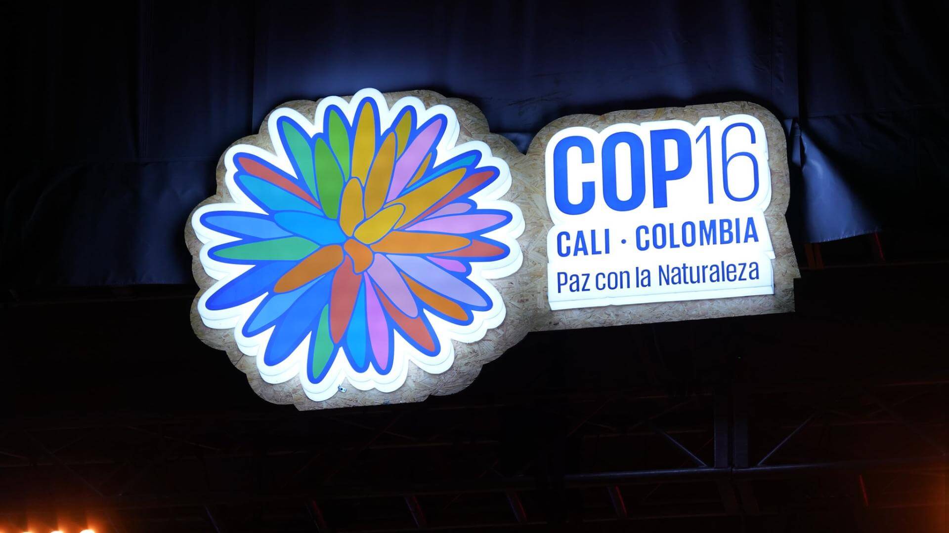 COP16. En la cumbre de biodiversidad en Cali, Colombia, se debate un mecanismo técnico, pero clave para los países en desarrollo.