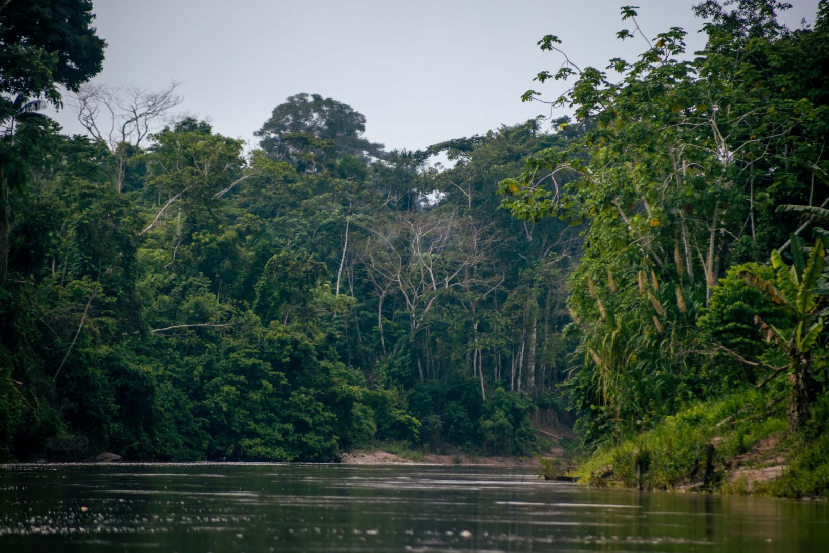 COSMOVISIÓN. Para los wampis y awajún existen tres mundos: agua, cielo y tierra.  La deidad de este último es Nunkui.