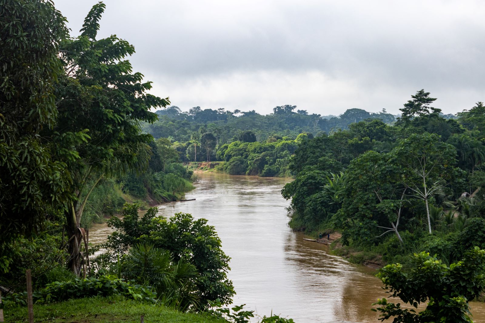 EQUILIBRIO. Cuando los ríos de la Amazonía sufren derrames, todos los seres que lo habitan y que conviven en armonía resultan afectados.