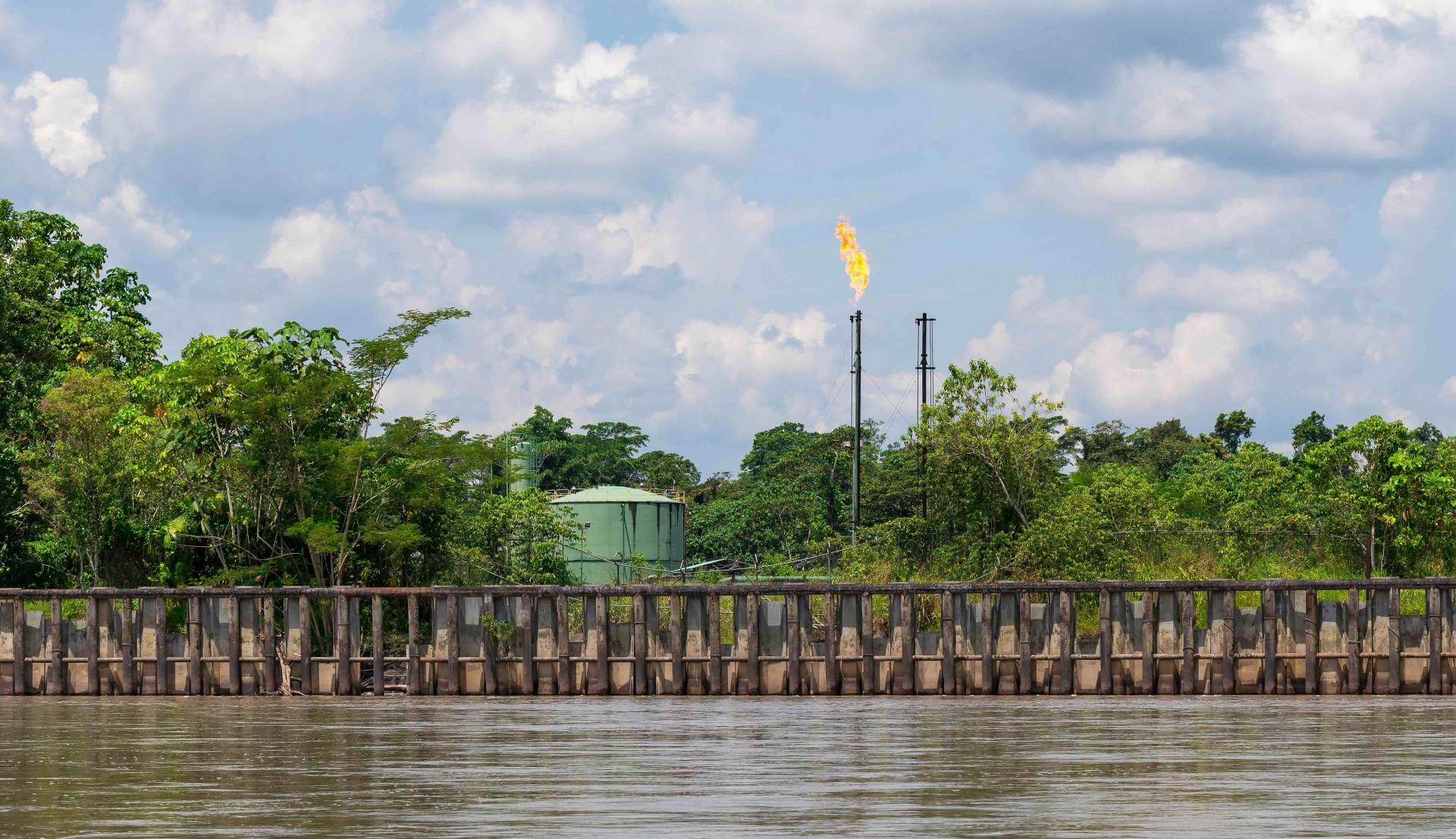 YASUNI. En 2023, un referéndum histórico determinó el fin de la actividad petrolera en este parque nacional de Ecuador, pero hasta ahora el gobierno no cesa en las operaciones.