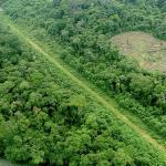 OCULTAS. Pistas de aterrizaje se ubican en distritos como Masisea, Curimaná y Nueva Requena. 