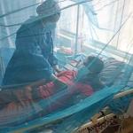 FOCO. Este 2023, la región Piura concentra alrededor del 30% del total de contagios registrados en Perú.