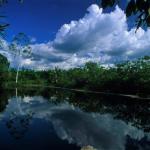 PREOCUPACIÓN. En diciembre pasado, antes de su vigencia, el Serfor alertó al Midagri sobre las consecuencias de un dictamen que planteaba cambios en la Ley Forestal. 