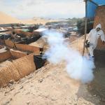 ALERTA. La Libertad, Piura, Ica y Áncash son las regiones con más casos de dengue en lo que va del 2024 y serán declaradas en emergencia sanitaria. 