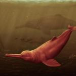 PEBANISTA YACURUNA. Se trata del odontoceto de agua dulce más grande conocido hasta ahora.