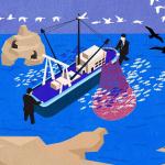 OBJETIVO. Con una acción popular, la Sociedad Nacional de Pesquería pretende anular el artículo de una normativa que prohíbe la pesca en gran escala en áreas naturales protegidas.