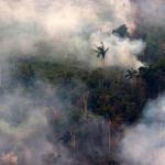 Pese a que incendios forestales se hacen más recurrentes, el país no cuenta con un plan multisectorial para prevenirlos.