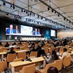 Reunión plenaria COP29