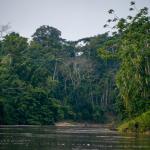 COSMOVISIÓN. Para los wampis y awajún existen tres mundos: agua, cielo y tierra.  La deidad de este último es Nunkui.