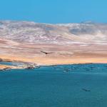 ECOSISTEMA. Once empresas investigadas por pesca ilegal en la Reserva Nacional de Paracas serían beneficiadas por multas en riesgo de prescribir.