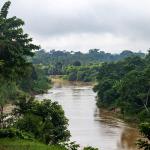EQUILIBRIO. Cuando los ríos de la Amazonía sufren derrames, todos los seres que lo habitan y que conviven en armonía resultan afectados.