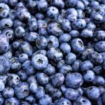 DEMANDA. En Perú, cada hectárea puede producir 19 toneladas de arándanos, es por ello que el país se ha convertido en uno de los mayores proveedores de este fruto en el mundo.