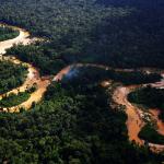 ALERTA. Pese a ser considerada un área destinada a la conservación, OjoPúblico detectó pérdida de bosques en zonas donde el Grupo Wong maneja proyectos de bonos de carbono.
