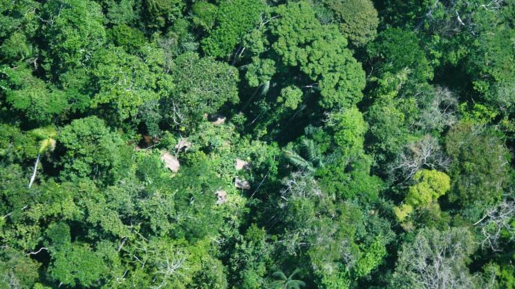 AMENAZADOS. Se han identificado malocas de indígenas en aislamiento en la Reserva Indígena Yavarí-Tapiche, en Loreto, frontera con Brasil.