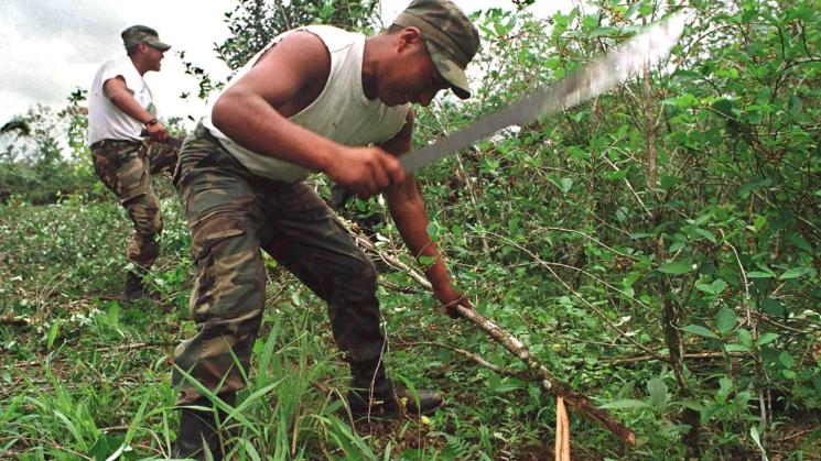 AMAZONÍA. Según el informe de Devida, el mayor incremento de cultivos de hoja de coca se registró en las fronteras con Colombia y Brasil.
