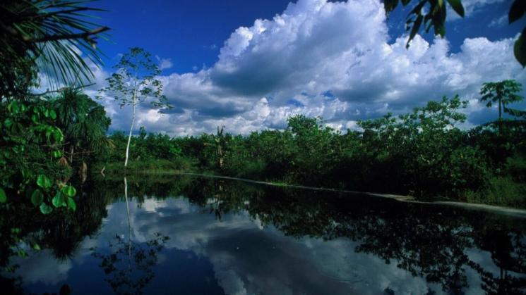 PREOCUPACIÓN. En diciembre pasado, antes de su vigencia, el Serfor alertó al Midagri sobre las consecuencias de un dictamen que planteaba cambios en la Ley Forestal. 