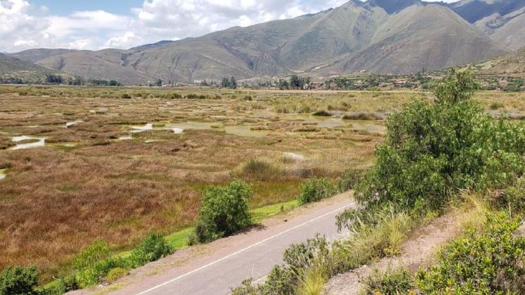 HUMEDAL LUCRE HUACARPAY. Este sitio Ramsar ubicado en la provincia de Quispicanchi, Cusco, soporta el avance desorganizado de construcciones urbanas.