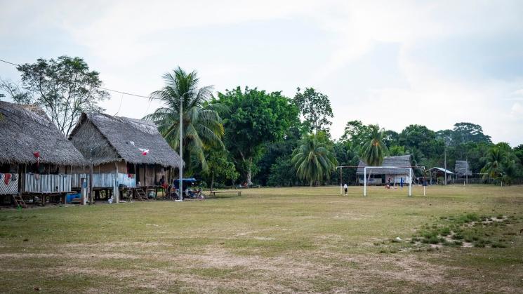 DECLARACIÓN. La empresa Ocho Sur niega cualquier relación con la pérdida de bosques en Ucayali, región donde tiene sus actividades en el sector de palma aceitera. 
