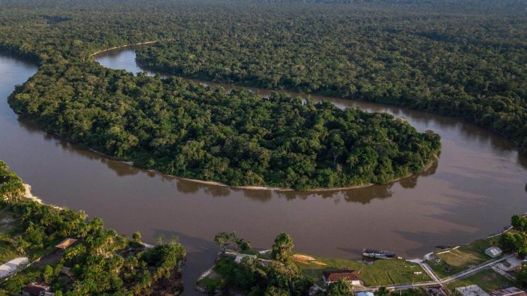 AMAZONÍA. El 39% de las 27,8 millones de hectáreas que almacenan la mayor cantidad de carbono en la Amazonía están amenazadas.