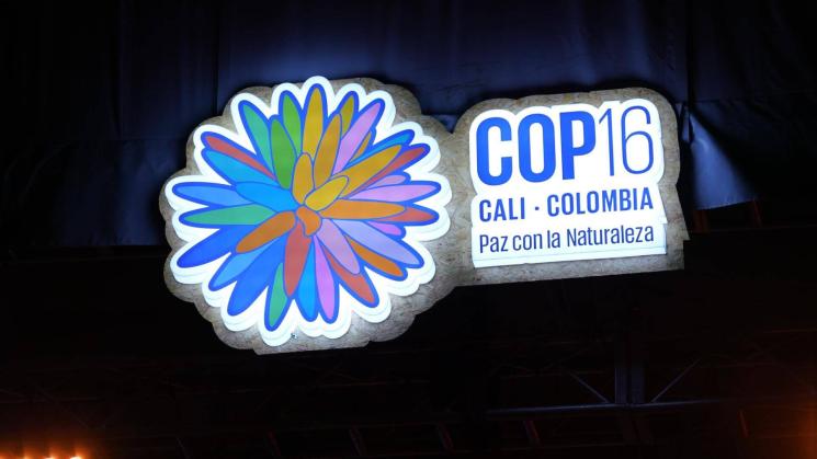 COP16. En la cumbre de biodiversidad en Cali, Colombia, se debate un mecanismo técnico, pero clave para los países en desarrollo.