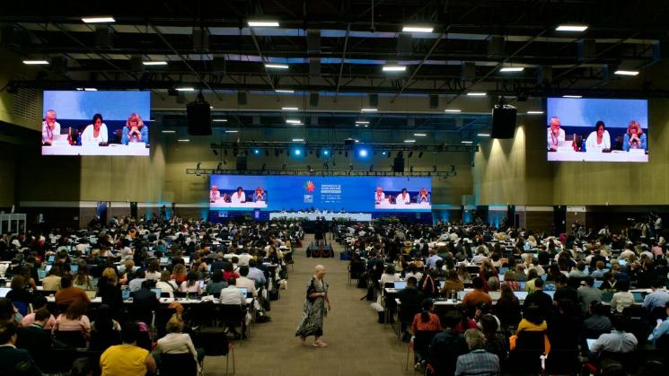 ÚLTIMA SESIÓN. La cumbre de biodiversidad en la ciudad de Cali, Colombia, terminó de forma abrupta con dos acuerdos claves y sin aprobarse detalles sobre financiamiento.