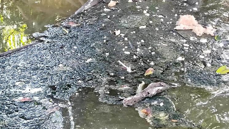 AFECTACIONES. Derrame se extendió 75 kilómetros por el río Pastaza, afectando a comunidades indígenas kichwa y achuar, según informe del OEFA.