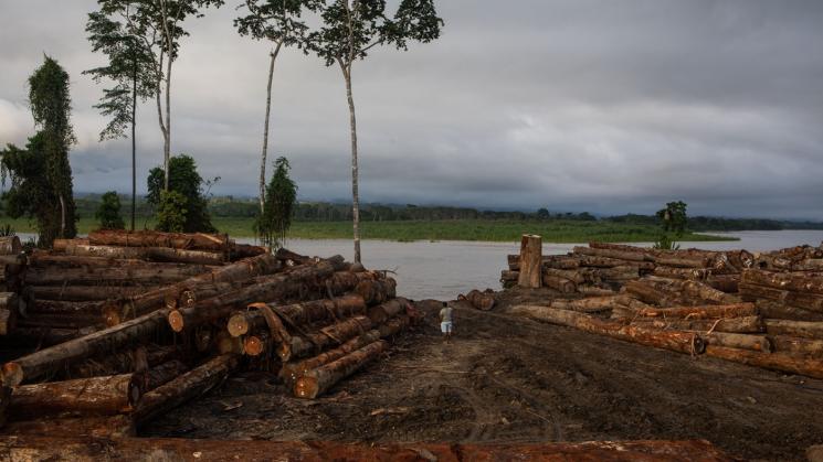 RESPUESTA. Gian Carlo Pezo, funcionario del Serfor, señaló en carta notarial que su proceso judicial aguarda el fin de juicio oral. Su defensa ha pedido la prescripción del caso. 