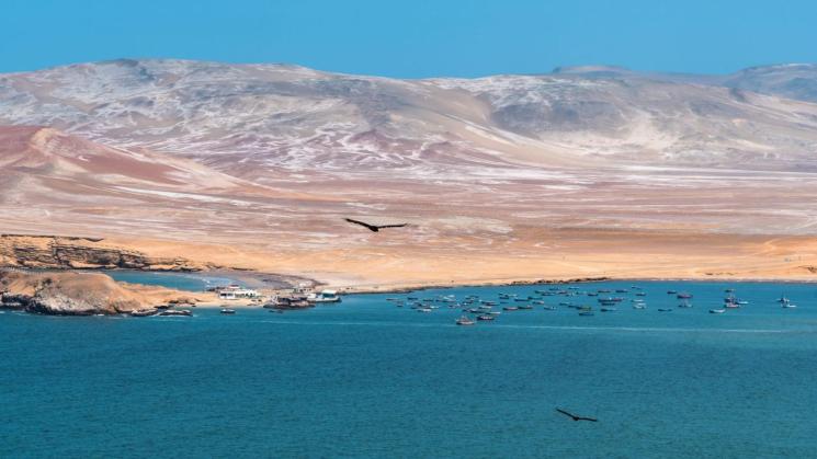 ECOSISTEMA. Once empresas investigadas por pesca ilegal en la Reserva Nacional de Paracas serían beneficiadas por multas en riesgo de prescribir.