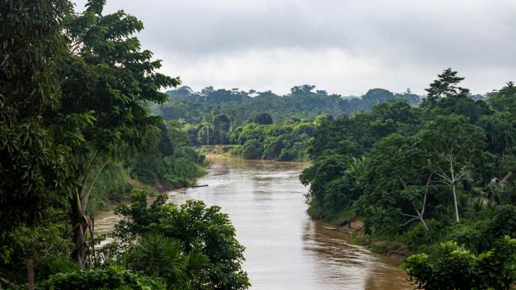 EQUILIBRIO. Cuando los ríos de la Amazonía sufren derrames, todos los seres que lo habitan y que conviven en armonía resultan afectados.