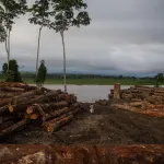 VÍCTIMAS. El registro de Aidesep contabiliza 35 muertes de defensores ambientales desde 2013. Una de las amenazas es la tala ilegal.