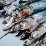 CLAVE. Con la comparación de muestreos, la Contraloría detectó que Produce había archivado procesos sancionadores sin considerar precedentes administrativos y judiciales.