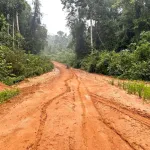 PRESENTE. En zonas aledañas a la vía Nueva Italia - Puerto Breu hay presencia de tráfico de madera, cultivo ilegal de hoja de coca y narcotráfico con dirección a Brasil.