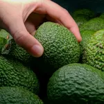 SUBSIDIADAS. Las empresas del sector agroexportador que se beneficiarán de la nueva Ley Agraria, también gozan de otros previlegios tributarios como el drawback. 