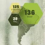 Mapa de bonos de carbono