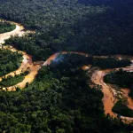 ALERTA. Pese a ser considerada un área destinada a la conservación, OjoPúblico detectó pérdida de bosques en zonas donde el Grupo Wong maneja proyectos de bonos de carbono.