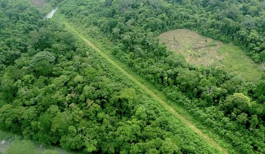 OCULTAS. Pistas de aterrizaje se ubican en distritos como Masisea, Curimaná y Nueva Requena. 
