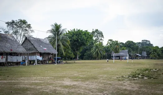 POSTURA. El grupo Ocho Sur, uno de los principales productores de aceite de palma del país, asegura que en sus territorios ni los de sus proveedores se ha perdido bosque.