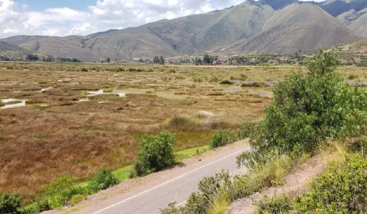 HUMEDAL LUCRE HUACARPAY. Este sitio Ramsar ubicado en la provincia de Quispicanchi, Cusco, soporta el avance desorganizado de construcciones urbanas.