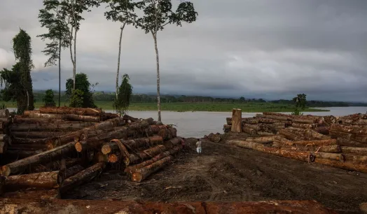 PENDIENTE. Desde mayo del año pasado, con una demanda presentada al Poder Judicial, el Produce se niega a entregar datos sobre empresas madereras. 